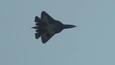 Russian fifth-generation fighter Su-57 (NATO - Felon) performs aerobatic. Stock Footage 201998497