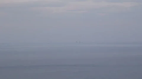 Russian fighter jets Stock Footage 49394416