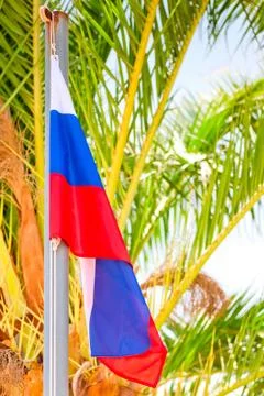 Russian flag on a background of palm trees Stock Photos