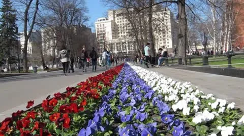 Russian flag flowers next to Kremlin Stockbeeldmateriaal 8837403