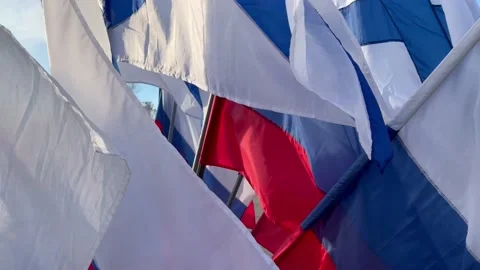 Russian flag flutters in wind. Independence Day of Russia Stock Footage 229196091