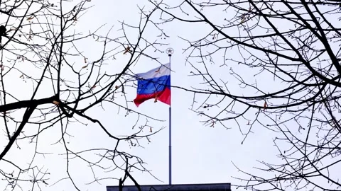 Russian Flag Stock Footage 336193265