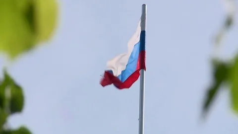 Russian flag through the foliage in summer Stock Footage 78369255
