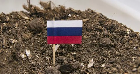 The Russian flag on a toothpick is inserted into the soil of the earth Stock Photos