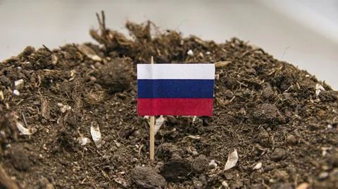 The Russian flag on a toothpick is inserted into the soil of the earth Stock Photos