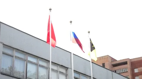 Russian flags at school Stock Footage 54484766
