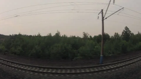 Russian forest Video stock 22623403