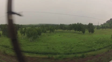 RUSSIAN FOREST Video stock 22623486