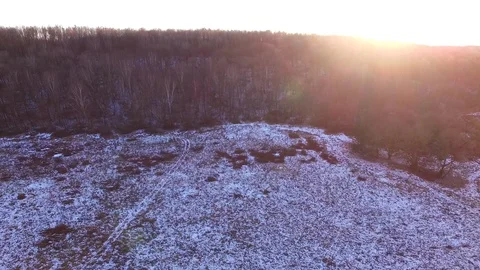 Russian forest Stock Footage 129126875