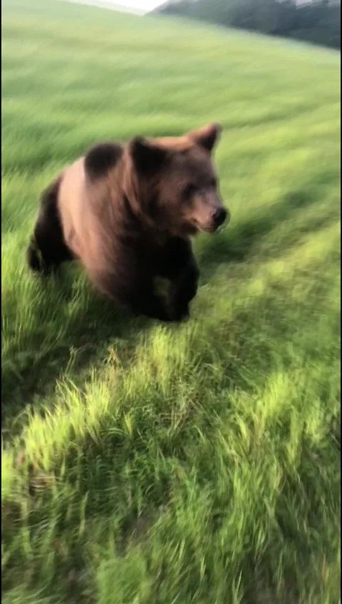 Russian Games Video stock 144188097