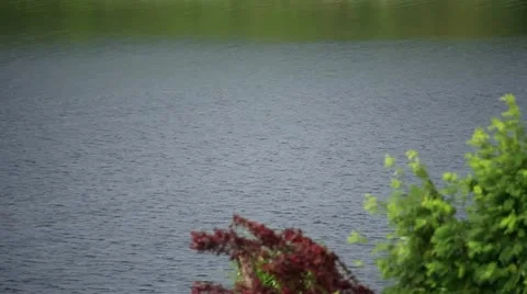 Russian hinterland Stock Footage 11254234