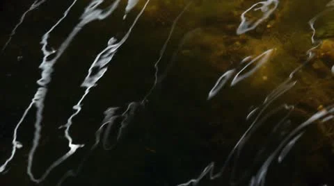 Russian hinterland Stock Footage 11254694