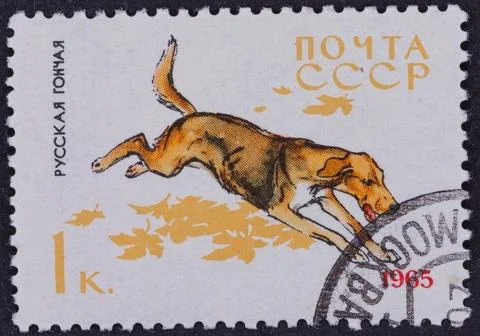 Russian Hound Postage Stamp Stock Photos
