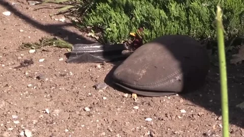 Russian invaders shelled the Donetsk region2 Video stock 192521494