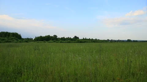 Russian landscape Stock Footage 51654237