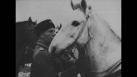 Russian Liberation Army Stock Footage 246595758