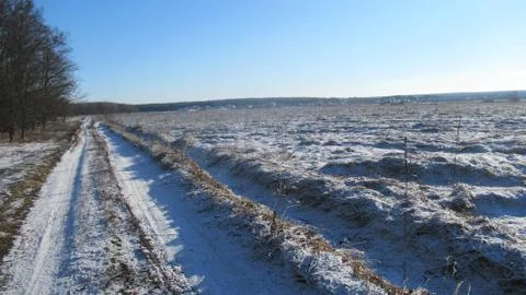 Russian March forest Stock Photos