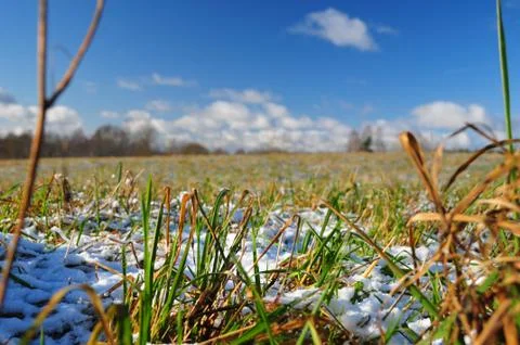 Russian nature in early spring time Stock Photos