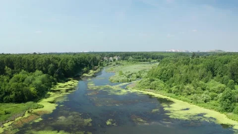 Russian nature, forest and river Stock Footage 158452853