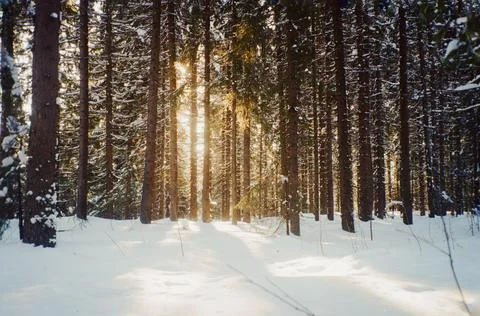 Russian north Stock Photos
