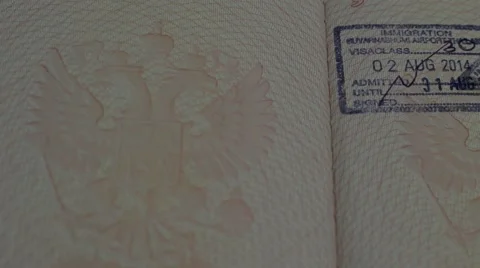Russian passport Stock Footage 56558805