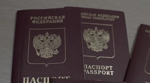 Russian passports Stock Footage 56558815