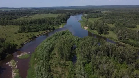 Russian River and forest in summer. Drone video 库存影片 154900960