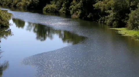 Russian River Current 3 Stock Footage 838258