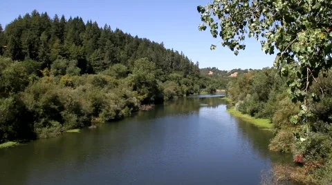 Russian River Foreground Tree Stock Footage 838333