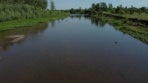 Russian river in summer with a drone 库存影片 154900978