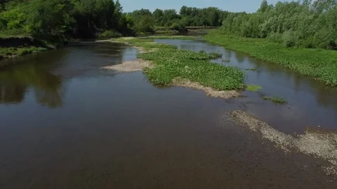 Russian River in summer. Drone video 库存影片 154900932