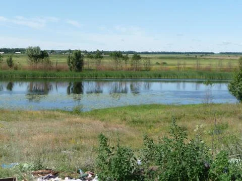 Russian river in summer with reedy coasts. Stock Photos