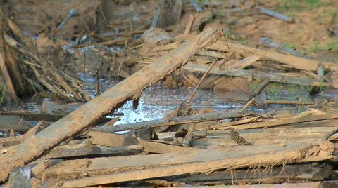 RUSSIAN ROAD 스톡 동영상 646538