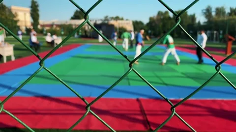 Russian sambo Stock Footage 196105949