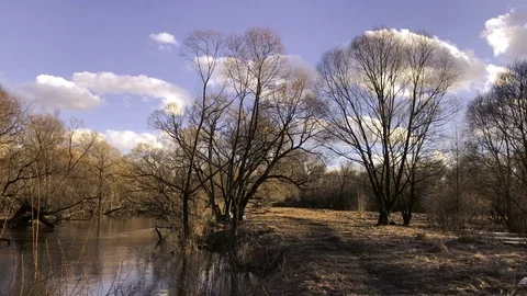 Russian small river 動画素材 75684777