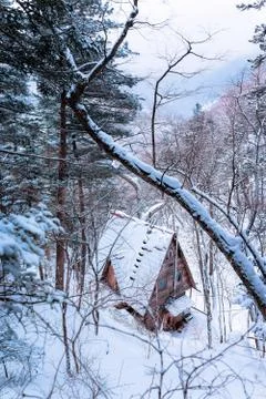 Russian snow trees Stock Photos