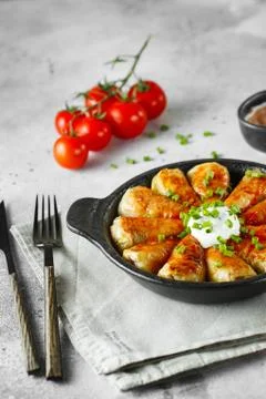 Russian stuffed cabbage rolls served with tomatoes, green onions and sour cre Stock Photos
