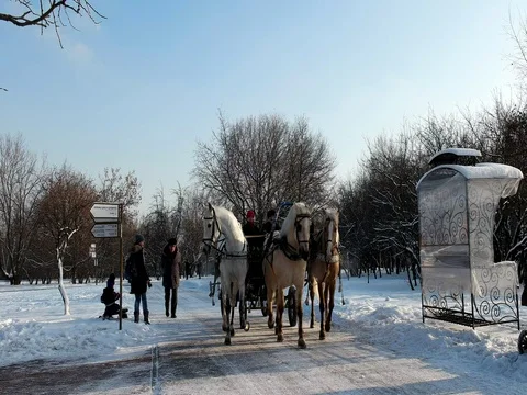Russian three horses Stock Footage 71295093