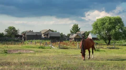 Russian village Video stock 8959748