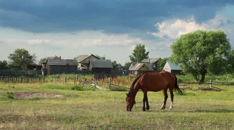 Russian village Stock Footage 8959752