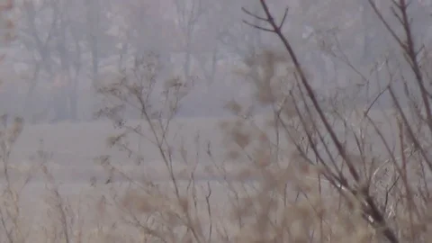Russian volley fire systems in Donetsk. Stock Footage 121954250