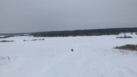 Russian Winter, field, forest, everything is shrouded in snow 스톡 동영상 86219855