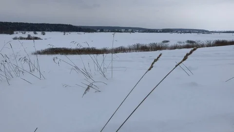 Russian Winter, field, forest, everything is shrouded in snow Stock Footage 86219858