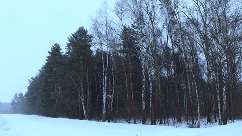Russian winter Stock Footage