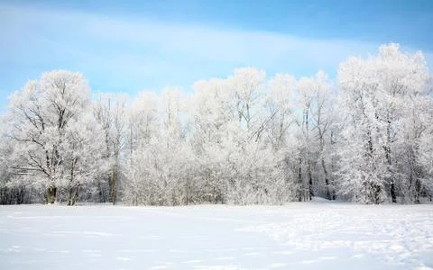 Russian winter in january Stock Photos