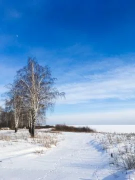 Russian winter nature, fields, forests and blue sky Foto stock