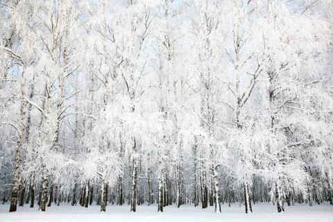 Russian winter Stock Photos