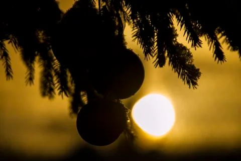 Russian winter Foto stock