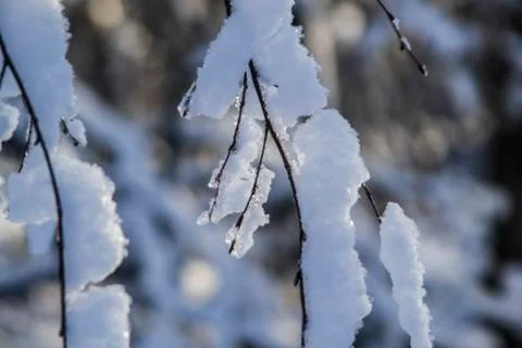 Russian winter Stock Photos