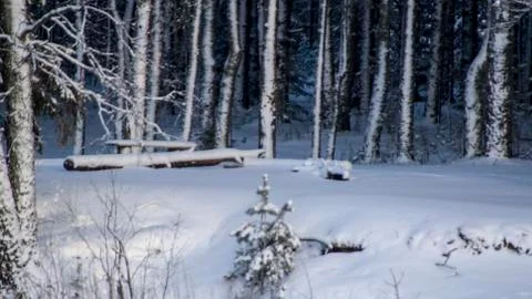 Russian winter Stock Photos